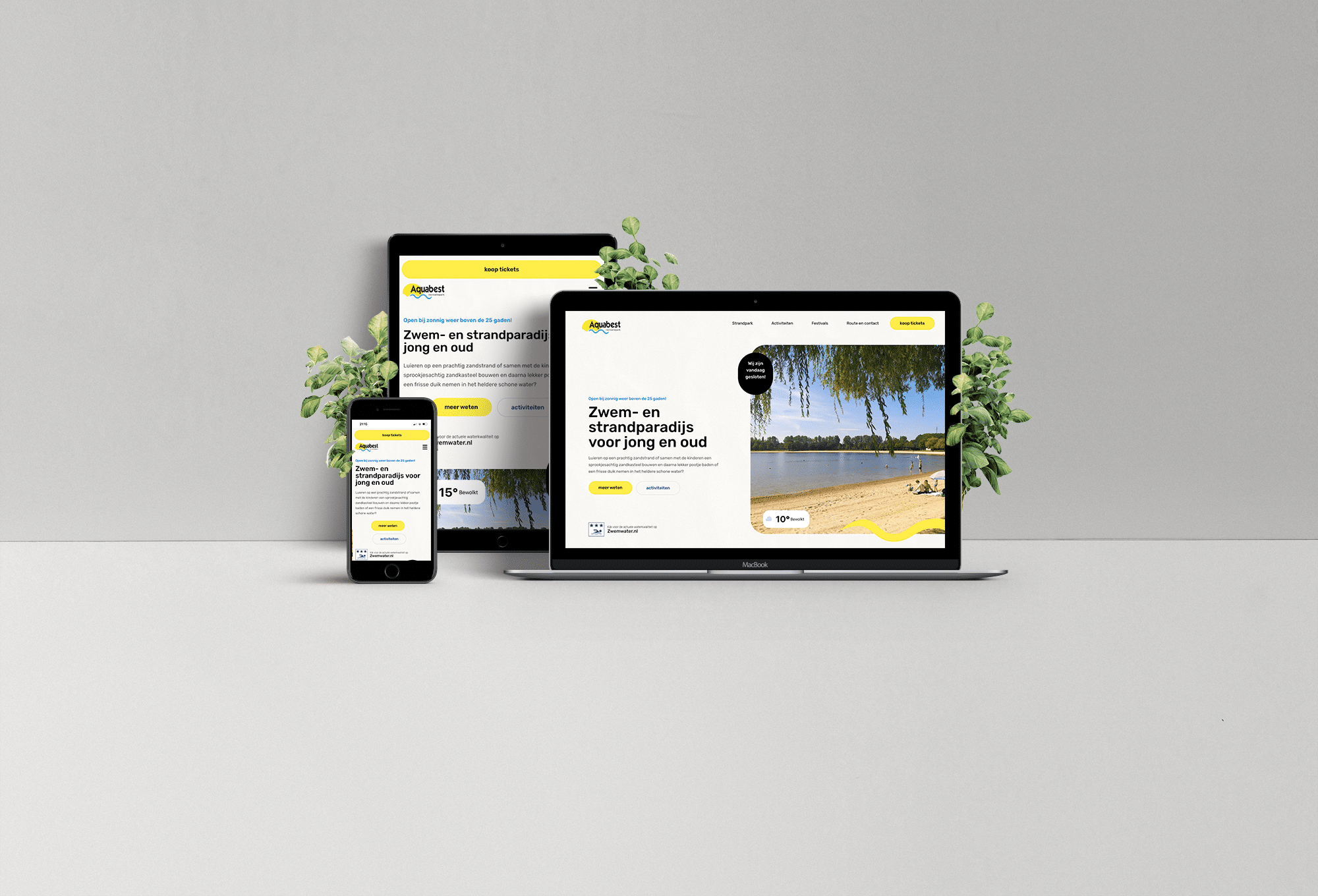 Web Showcase Project Presentation@1.25x